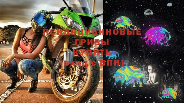 мяу мяу мука Алзамай