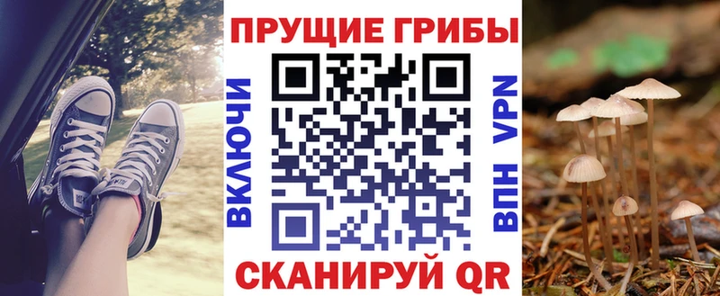 Псилоцибиновые грибы MAGIC MUSHROOMS  Купить  Гаврилов-Ям 